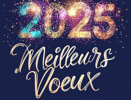 MEILLEURS VOEUX 2025